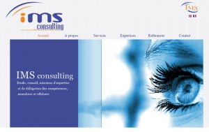 Web Developer Trainer at IMS